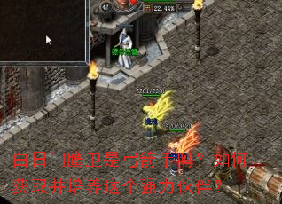 白日门鹰卫是弓箭手吗?如何获取并培养这个强力伙伴? 白日门鹰卫是弓箭手吗?如何获取并培养这个强力伙伴?