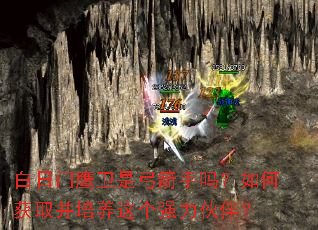 白日门鹰卫是弓箭手吗?如何获取并培养这个强力伙伴? 白日门鹰卫是弓箭手吗?如何获取并培养这个强力伙伴?