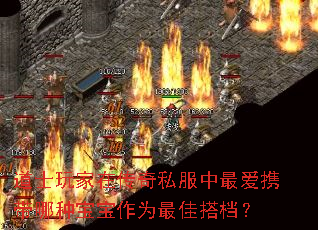 道士玩家在传奇私服中最爱携带哪种宝宝作为最佳搭档? 道士玩家在传奇私服中最爱携带哪种宝宝作为最佳搭档?