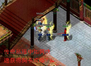 传奇私服中如何快速获得狗书攻略? 传奇私服中如何快速获得狗书攻略?