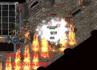 传奇私服中如何快速获得狗书攻略? 传奇私服中如何快速获得狗书攻略?