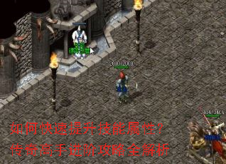 如何快速提升技能属性?传奇高手进阶攻略全解析 如何快速提升技能属性?传奇高手进阶攻略全解析