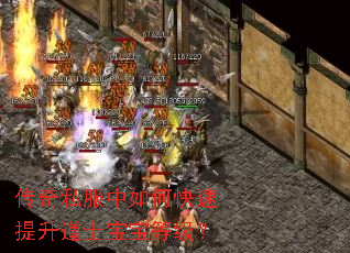 传奇私服中如何快速提升道士宝宝等级? 传奇私服中如何快速提升道士宝宝等级?