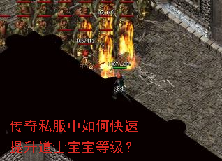 传奇私服中如何快速提升道士宝宝等级? 传奇私服中如何快速提升道士宝宝等级?