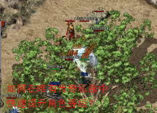 �����Ψ�д���˽���п���������ɫ�ȼ���