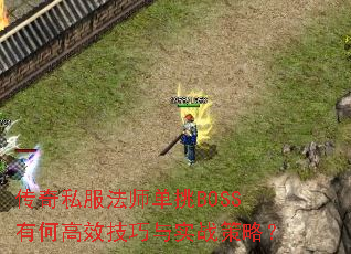 ����˽����ʦ����BOSS�кθ�Ч������ʵս���ԣ�