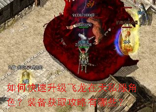 如何快速升级飞龙在天私服角色?装备获取攻略有哪些? 如何快速升级飞龙在天私服角色?装备获取攻略有哪些?