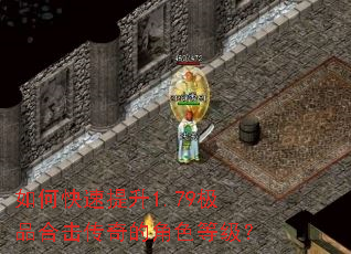 如何快速提升1.79极品合击传奇的角色等级? 如何快速提升1.79极品合击传奇的角色等级?