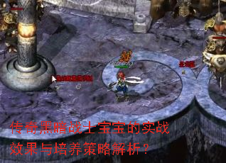 传奇黑暗战士宝宝的实战效果与培养策略解析? 传奇黑暗战士宝宝的实战效果与培养策略解析?