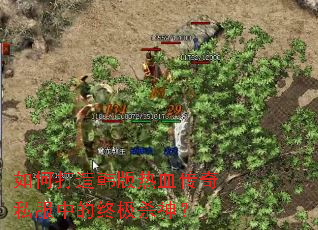 如何打造韩版热血传奇私服中的终极杀神? 如何打造韩版热血传奇私服中的终极杀神?