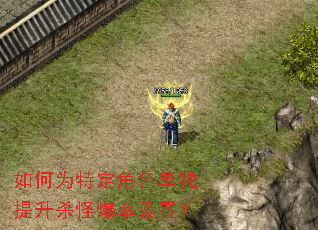 ���Ϊ�ض���ɫ��������ɱ�ֱ������ã�