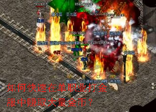 如何快速在单职业打金服中赚取大量金币? 如何快速在单职业打金服中赚取大量金币?
