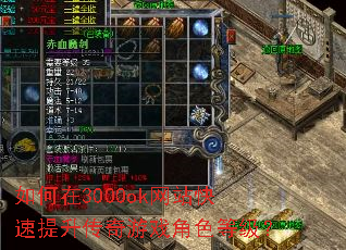 �����3000ok��վ��������������Ϸ��ɫ�ȼ���