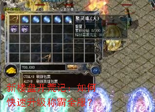 新楼盘开荒记:如何快速升级称霸全服? 新楼盘开荒记:如何快速升级称霸全服?