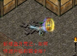 新楼盘开荒记:如何快速升级称霸全服? 新楼盘开荒记:如何快速升级称霸全服?