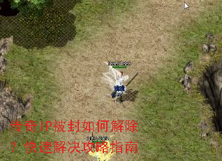 ����IP������ν�������ٽ������ָ��