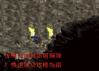 ����IP������ν�������ٽ������ָ��