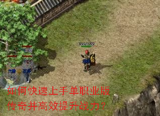 如何快速上手单职业版传奇并高效提升战力? 如何快速上手单职业版传奇并高效提升战力?