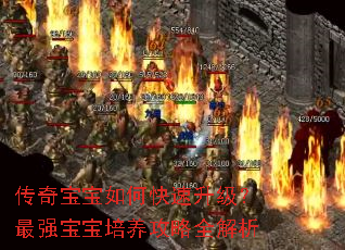 传奇宝宝如何快速升级?最强宝宝培养攻略全解析 传奇宝宝如何快速升级?最强宝宝培养攻略全解析