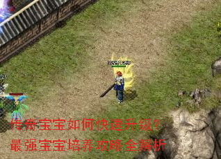 传奇宝宝如何快速升级?最强宝宝培养攻略全解析 传奇宝宝如何快速升级?最强宝宝培养攻略全解析