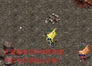 天堂私服法师如何快速升级与获取极品装备? 天堂私服法师如何快速升级与获取极品装备?