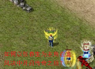 如何以张春生为主角在龙凤决中开启传奇之旅? 如何以张春生为主角在龙凤决中开启传奇之旅?