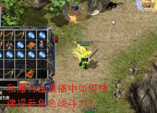 私服合击直播中如何快速提升角色战斗力? 私服合击直播中如何快速提升角色战斗力?
